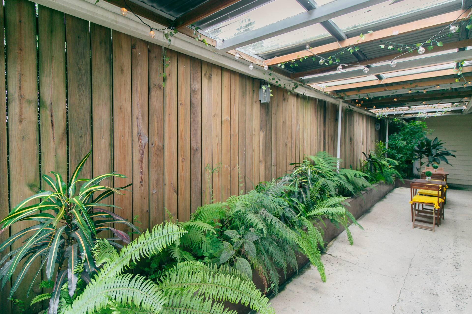 Ferns and tropical planting along the garden corridor